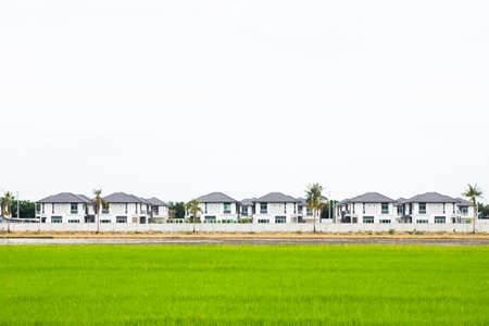 Housing  development project on natural areas