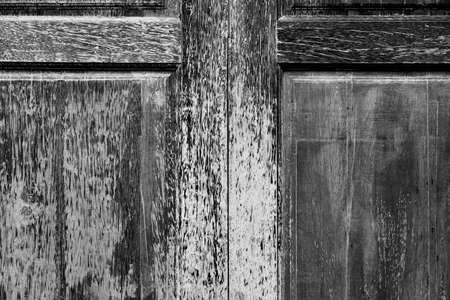 Old wood door texture - black and white