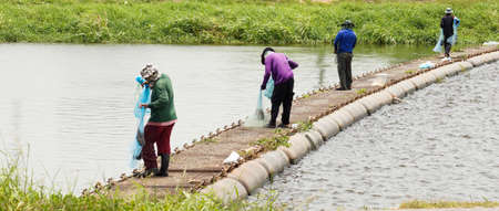 Group of anonymous fishermen catching fish together by fishing netの写真素材