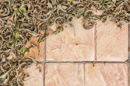 Dry leaves on brick floor as frame and backgroundの写真素材