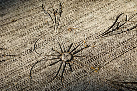 Pattern of flower on cement floor