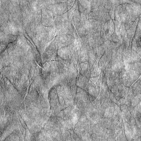 Black and White of Mulberry paper texture background - Abstract backgroundの写真素材