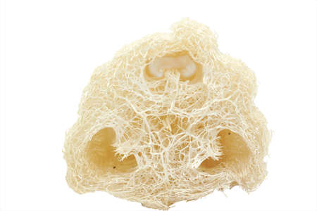 Close-up of Luffa Fiber Scrubs isolated on white background