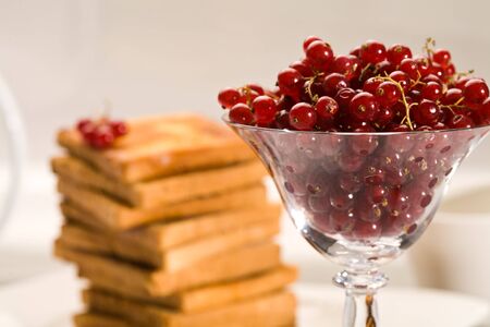 food series: toasts and red currant on the white plate
