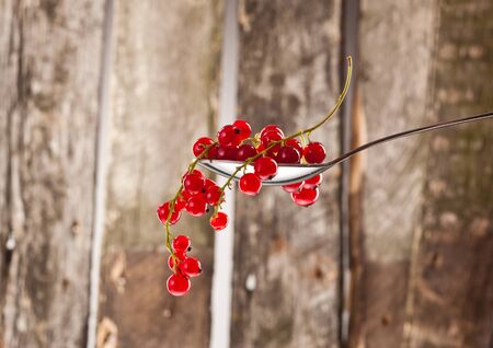 tasty ripe and juicy red currant over wooden plank backgroundの写真素材