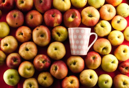 fresh ripe apple texture with teacup on redの写真素材
