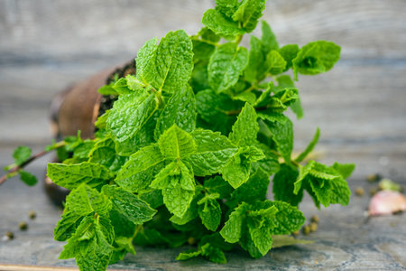 Fresh mint on a wooden background. Selective focus. Close up.の写真素材