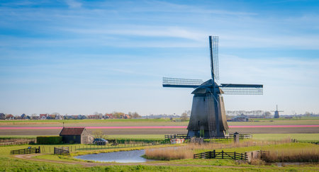 Traditional Dutch windmills in the netherlands in springtime