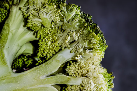 Close up of fresh green broccoli on dark background. Healthy food concept.