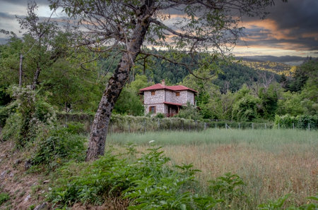 houses in Zarouhla village. Acahia, Greece. Greek landscapesの写真素材