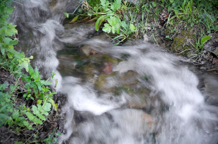 Small river stream in the forestの写真素材