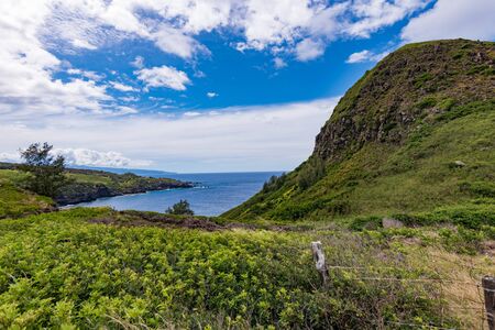 Hill top in Mauiの写真素材