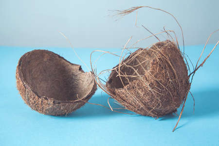 coconut shell on the blue table background