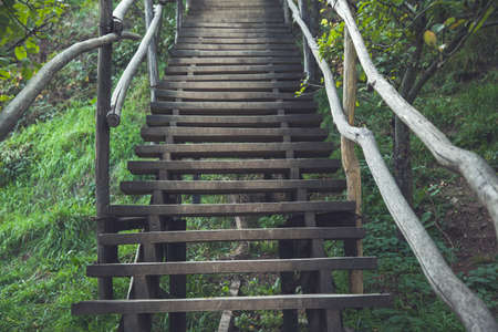 wooden stairs in the forest background
