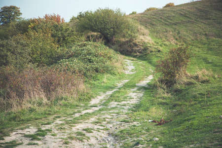 road in the green grass field  backgroundの写真素材