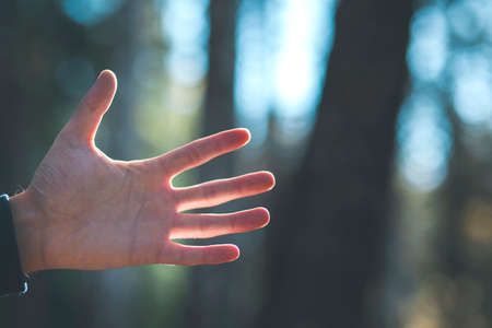 man hand in forest tree backgroundの写真素材