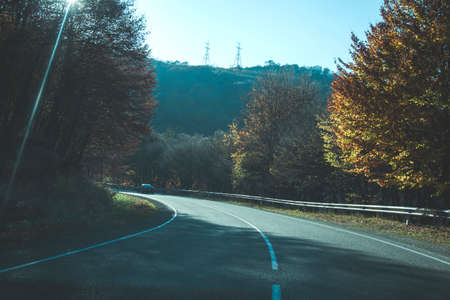 asphalt road with forest under skyの写真素材