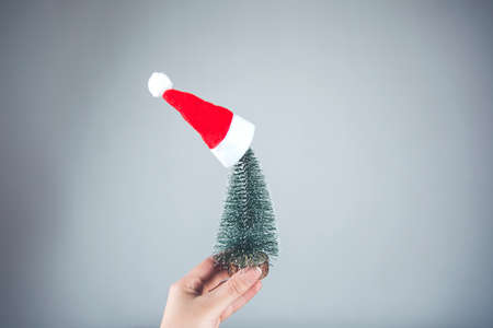 woman hand holding christmas tree on gray wall backgroundの写真素材