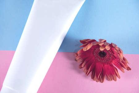 body creams on the color table backgroundの写真素材