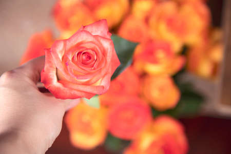 woman hand flowers on table background