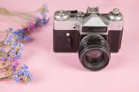 flowers with vintage camera on the pink backgroundの写真素材