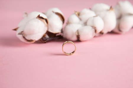 cotton branch and ring on pink backgroundの写真素材