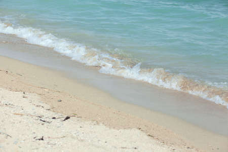 sandy beach and wave in summer day