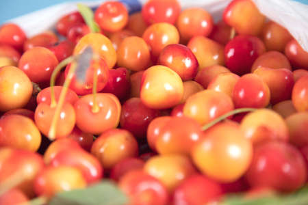 yellow cherry macro closeup detail backgroundの写真素材