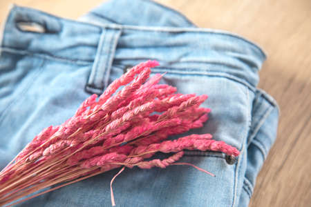 Pink flower on the blue trousers.の写真素材
