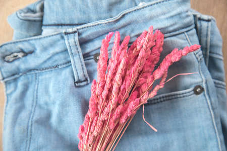 Pink flower on the blue trousers.の写真素材