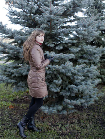 beautiful girl with dark hair, wearing a brown coat against the green pineの写真素材