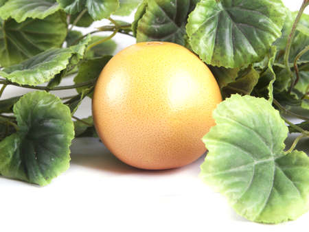 Fruit composition of ripe grapefruit on a white backgroundの写真素材