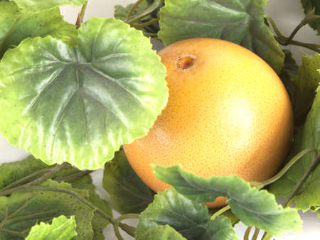 Fruit composition of ripe grapefruit on a white backgroundの写真素材