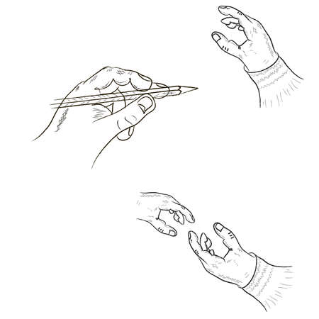 four human hands on a white background. Vector の写真素材