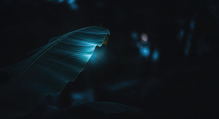 A banana leaf glows with ethereal blue light against a dark background, accented by soft bokeh orbs. The composition evokes a sense of mystery and tranquility.の素材