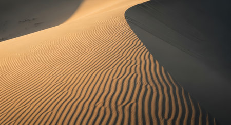 A close-up captures the rhythmic patterns of sand dunes, with golden ripples contrasting against a dark, shadowed slope, creating a striking desert landscape texture.の素材