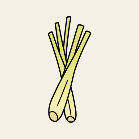 A bundle of lemongrass stalks, pale yellow with black outlines, arranged in a slightly overlapping manner. Culinary herb illustration.のイラスト素材