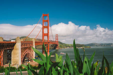 Golden Gate Bridge with plants
