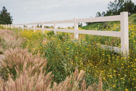 Field with white fence