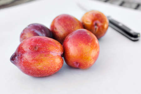 Five amigo pluot fruits sit beside a knife on white wax paperの写真素材