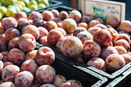 Farmers Market stall with boxes full of Honey Punch pluot fruitsの写真素材