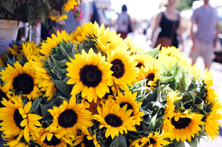 A bunch of fresh yellow sunflowers ready for sale at a local farmers marketの写真素材