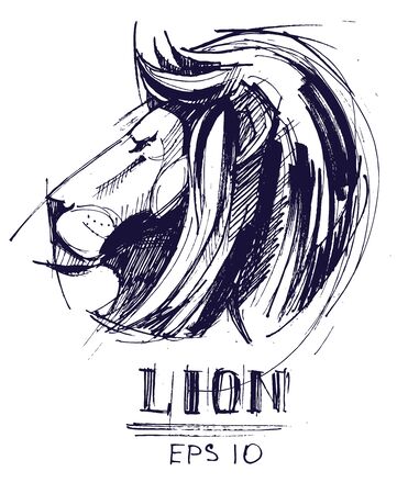 Lionのイラスト素材