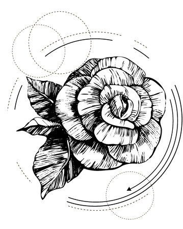 Flowers vector sketch.のイラスト素材