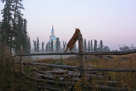 Savior-Transfiguration Valaam Monasteryの写真素材