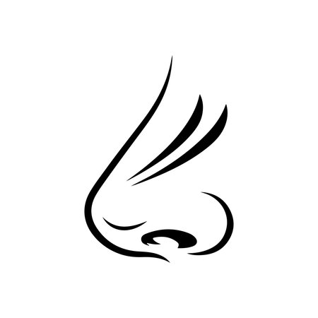 Vector illustration of the wing of a cat on a white background.のイラスト素材