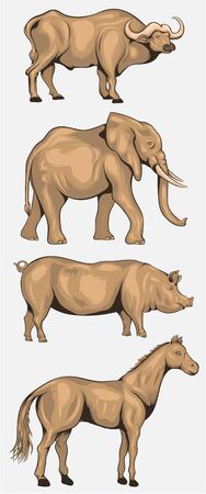 Animals Set Cartoon Vintage Vector Designのイラスト素材