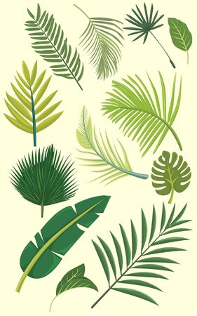 Tropical Leaf Set Pack Vector Premium Designのイラスト素材