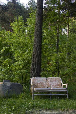old sofa on a beautiful forest landscape in the morningの写真素材