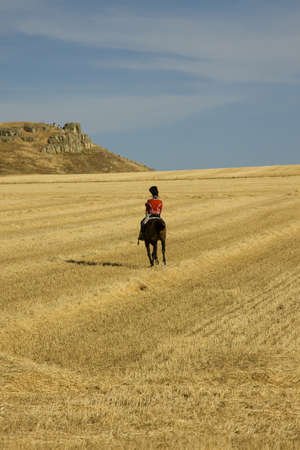 Rural Landscape - Harvested Agricultural Field and Blue Skyの写真素材